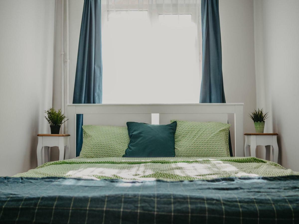 Business And Travel Central Apartment Тимишоара Екстериор снимка
