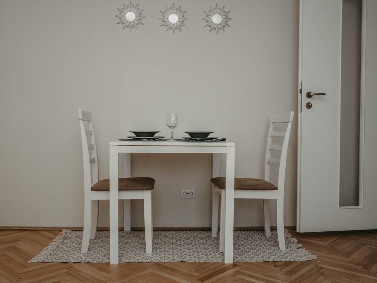 Business And Travel Central Apartment Тимишоара Екстериор снимка