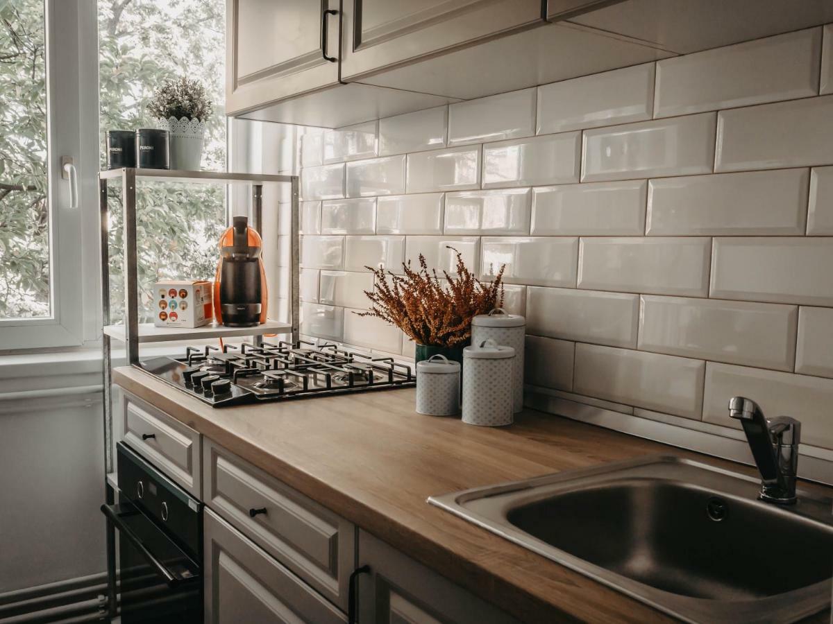 Business And Travel Central Apartment Тимишоара Екстериор снимка