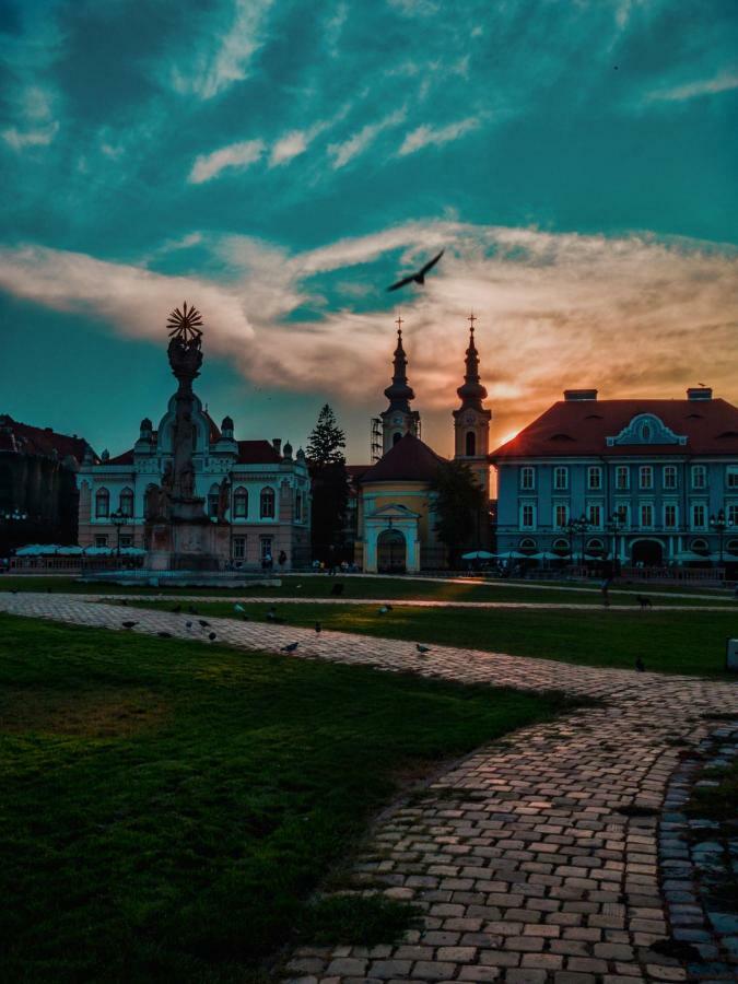 Business And Travel Central Apartment Тимишоара Екстериор снимка