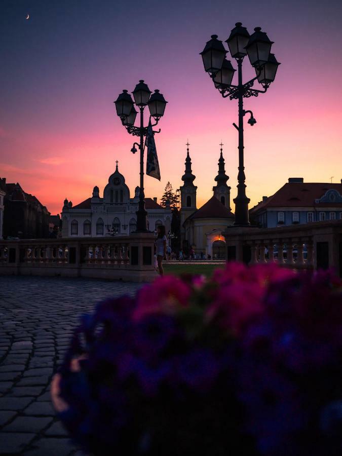 Business And Travel Central Apartment Тимишоара Екстериор снимка